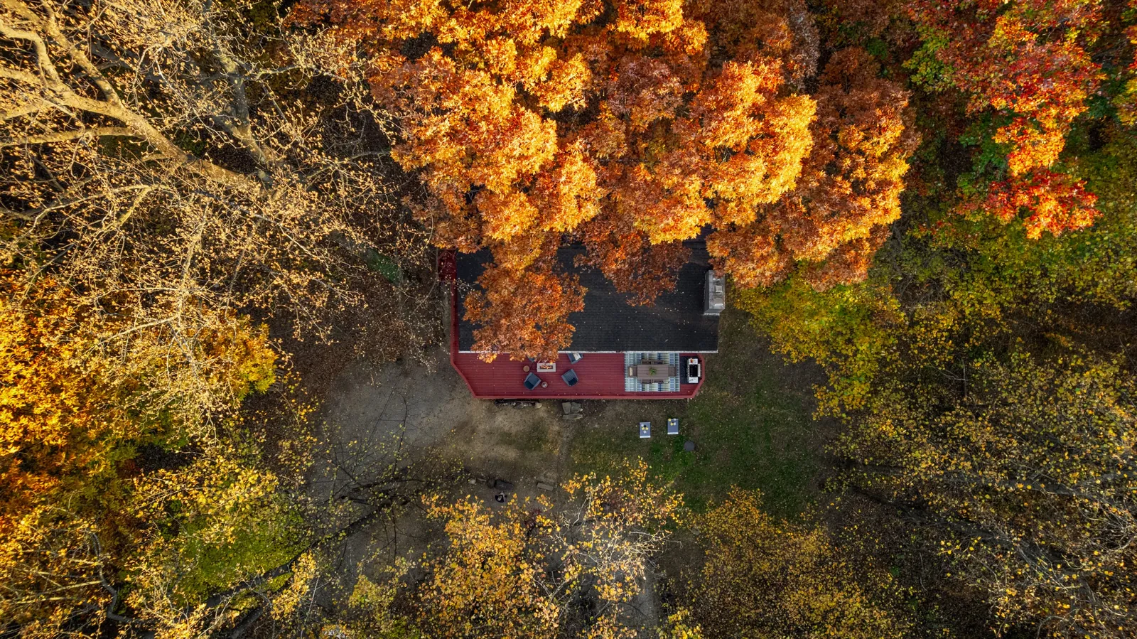 Overhead view of Huckleberry: the red deck and roof tucked into orange and gold fall trees